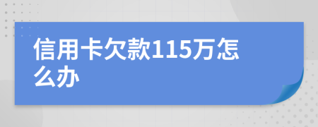 信用卡欠款115万怎么办