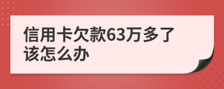 信用卡欠款63万多了该怎么办