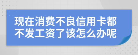 现在消费不良信用卡都不发工资了该怎么办呢