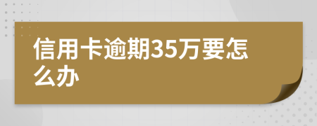 信用卡逾期35万要怎么办