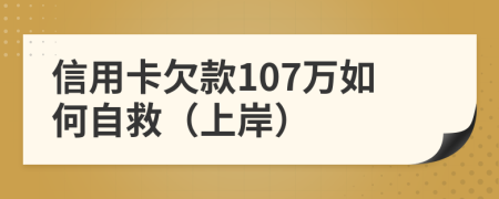 信用卡欠款107万如何自救（上岸）