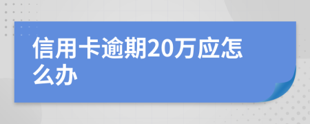 信用卡逾期20万应怎么办