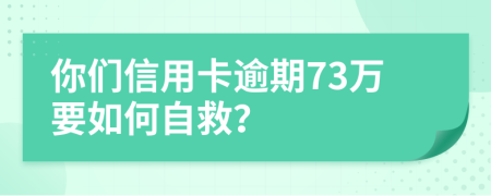 你们信用卡逾期73万要如何自救？