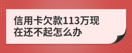 信用卡欠款113万现在还不起怎么办