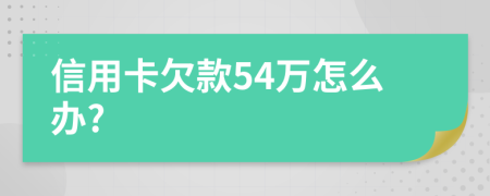 信用卡欠款54万怎么办?