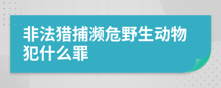 非法猎捕濒危野生动物犯什么罪