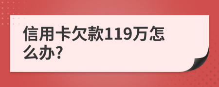 信用卡欠款119万怎么办?