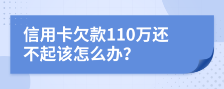 信用卡欠款110万还不起该怎么办？