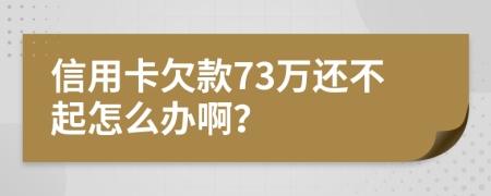 信用卡欠款73万还不起怎么办啊？