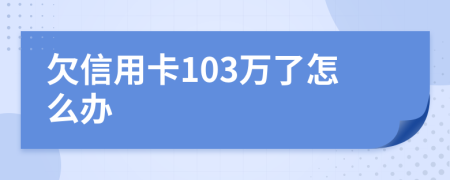 欠信用卡103万了怎么办