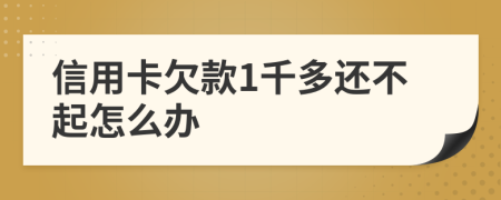 信用卡欠款1千多还不起怎么办