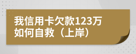 我信用卡欠款123万如何自救（上岸）
