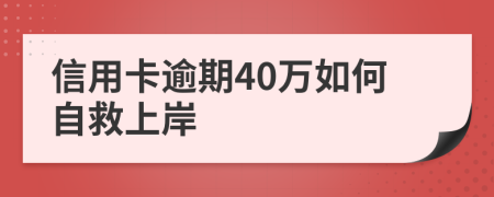 信用卡逾期40万如何自救上岸