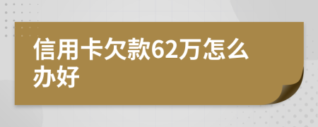 信用卡欠款62万怎么办好
