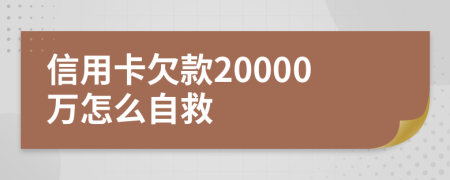 信用卡欠款20000万怎么自救