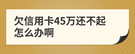 欠信用卡45万还不起怎么办啊