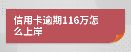 信用卡逾期116万怎么上岸