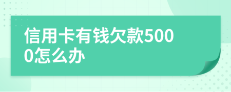 信用卡有钱欠款5000怎么办