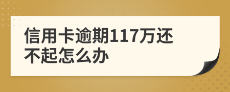 信用卡逾期117万还不起怎么办