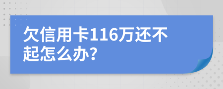 欠信用卡116万还不起怎么办？