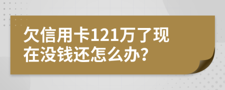 欠信用卡121万了现在没钱还怎么办？