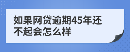 如果网贷逾期45年还不起会怎么样