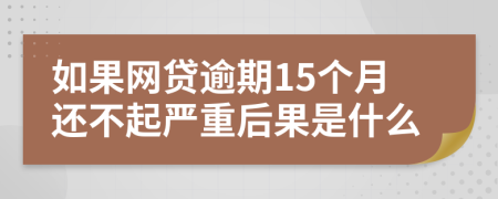 如果网贷逾期15个月还不起严重后果是什么