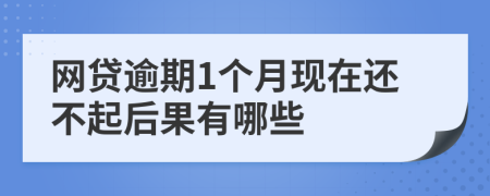 网贷逾期1个月现在还不起后果有哪些