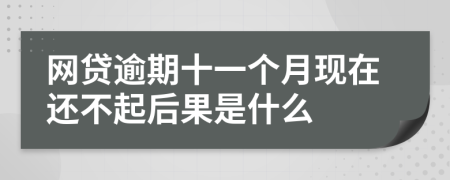 网贷逾期十一个月现在还不起后果是什么