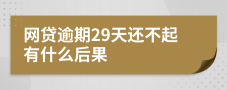网贷逾期29天还不起有什么后果