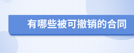 有哪些被可撤销的合同