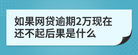 如果网贷逾期2万现在还不起后果是什么