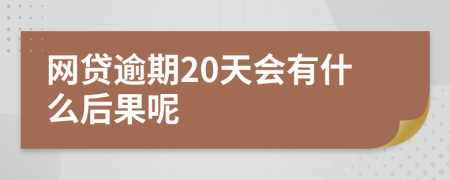 网贷逾期20天会有什么后果呢