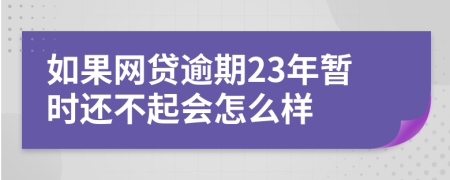 如果网贷逾期23年暂时还不起会怎么样