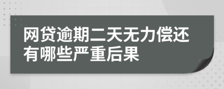 网贷逾期二天无力偿还有哪些严重后果