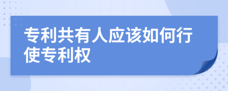 专利共有人应该如何行使专利权