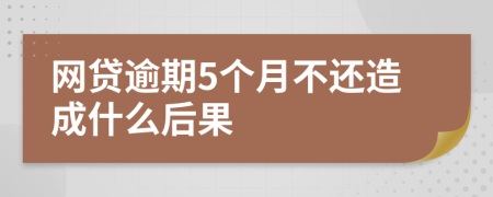 网贷逾期5个月不还造成什么后果