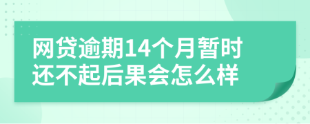 网贷逾期14个月暂时还不起后果会怎么样