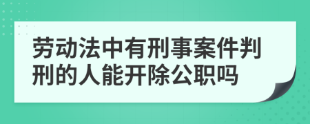 劳动法中有刑事案件判刑的人能开除公职吗