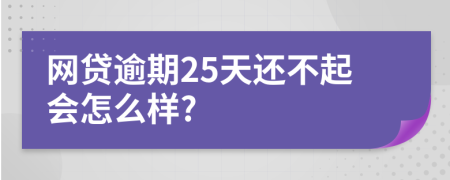 网贷逾期25天还不起会怎么样?