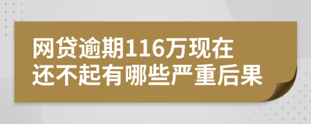 网贷逾期116万现在还不起有哪些严重后果