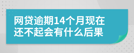 网贷逾期14个月现在还不起会有什么后果