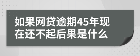 如果网贷逾期45年现在还不起后果是什么