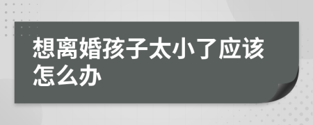 想离婚孩子太小了应该怎么办