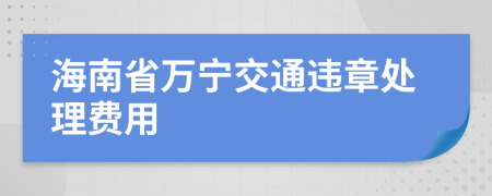 海南省万宁交通违章处理费用