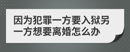 因为犯罪一方要入狱另一方想要离婚怎么办