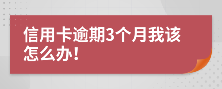 信用卡逾期3个月我该怎么办！