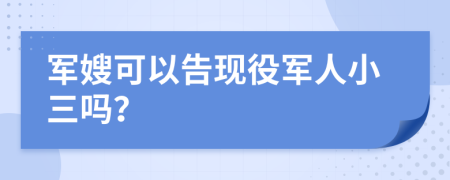 军嫂可以告现役军人小三吗？