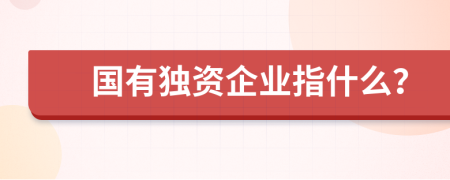 国有独资企业指什么？