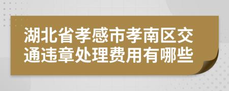 湖北省孝感市孝南区交通违章处理费用有哪些